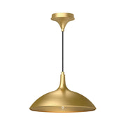 ALORA MOOD Lighting PD627914BG Pendant, 1 Light, Brushed Gold