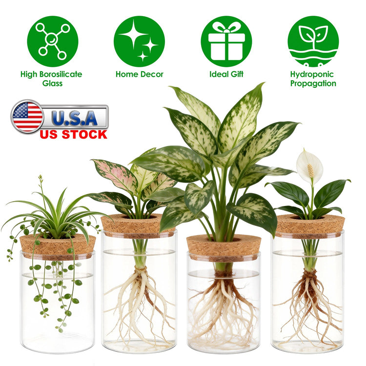 4Pack Glass Propagation Stations For Plants Indoor Glass Planters Hydroponic Plant Vases 2 Large 2 Small for Plant Cuttings Flower Arrangements