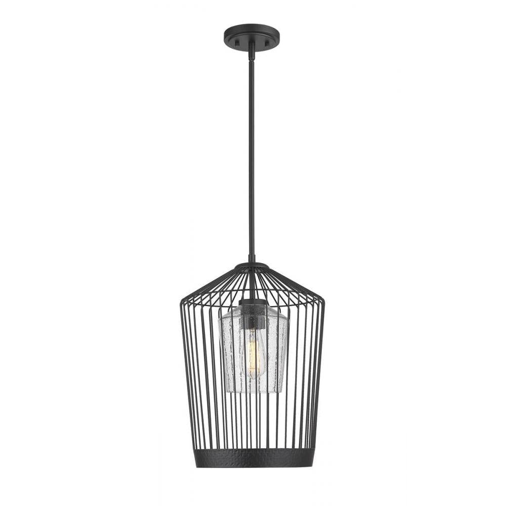 1 Light Pendant-Clear Seedy