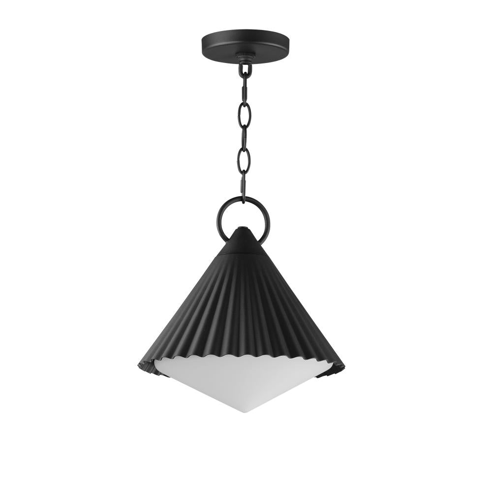 Maxim Lighting 35131WTBK Outdoor 12 Inch Pendant – Black