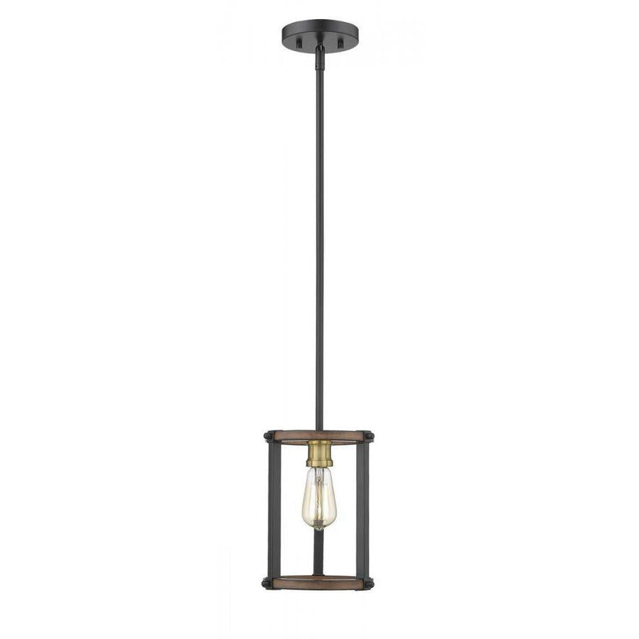 1 Light Pendant