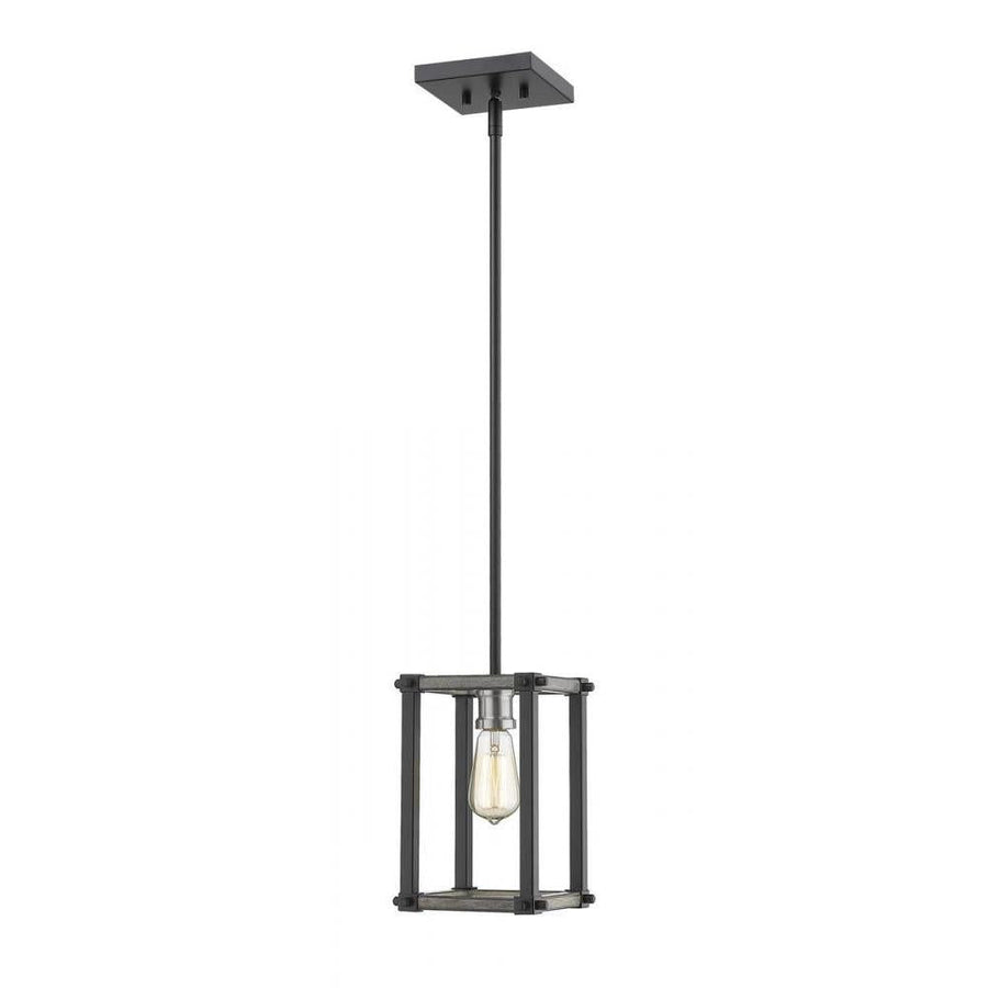 1 Light Pendant