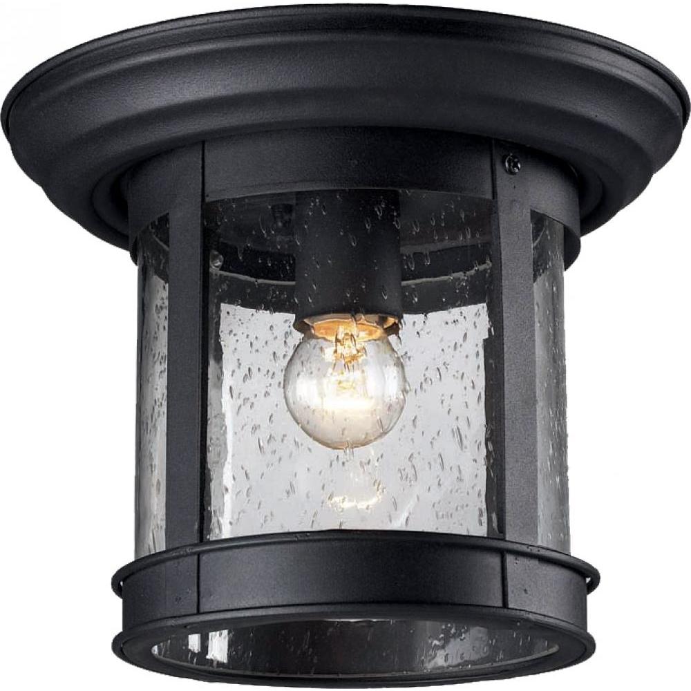 1 Light Outdoor Flush Mount Light-Clear Seedy