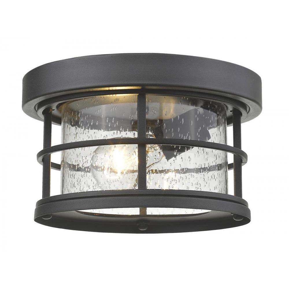 1 Light Outdoor Flush Mount Light-Clear Seedy