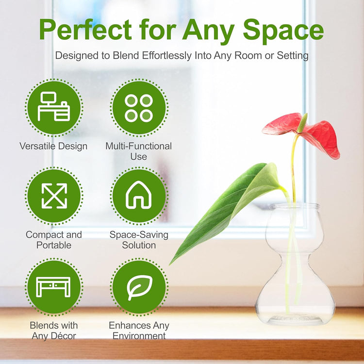 Clear Glass Bud Vases - Propagation Stations (Set of 4)