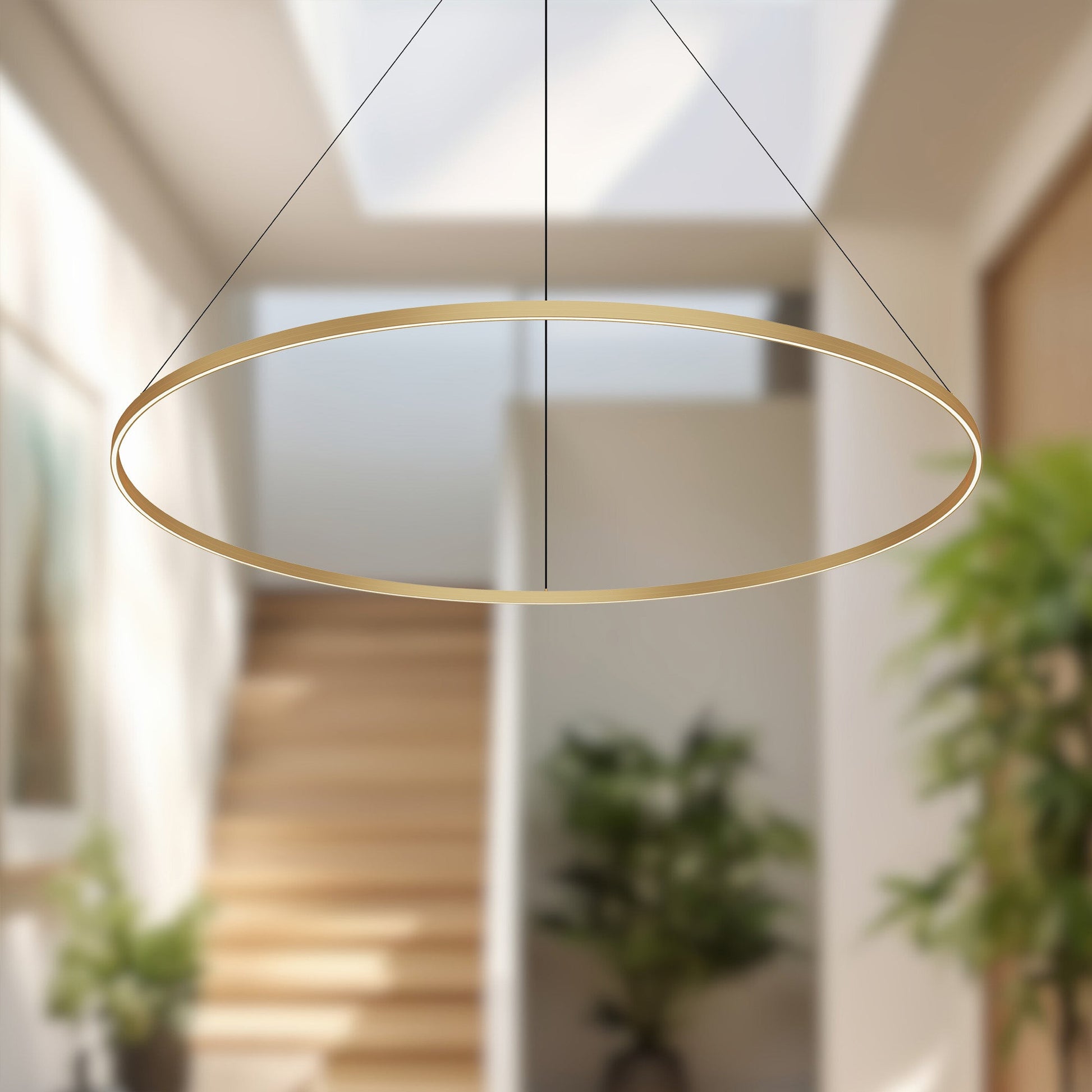 Kuzco Cerchio 72-in Pendant, LED, Brushed Gold
