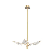 ALORA Lighting PD321105NB Flora 5 Head Natural Brass LED Pendant, UL Damp Rated, Natural Brass