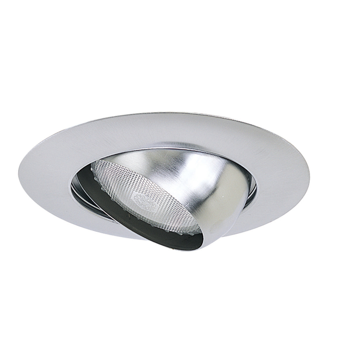 6" BR/PAR30 Eyeball w/ Metal Trim, Natural Metal