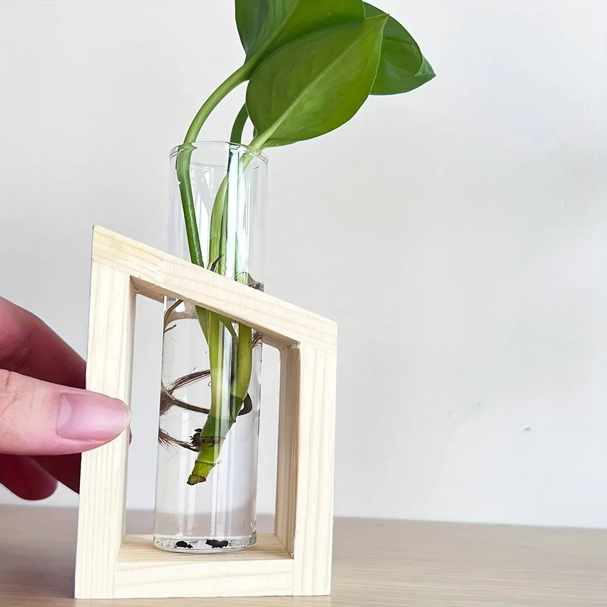 Test Tube Hydroponic Vase Wooden Stand Desktop | Aurelia