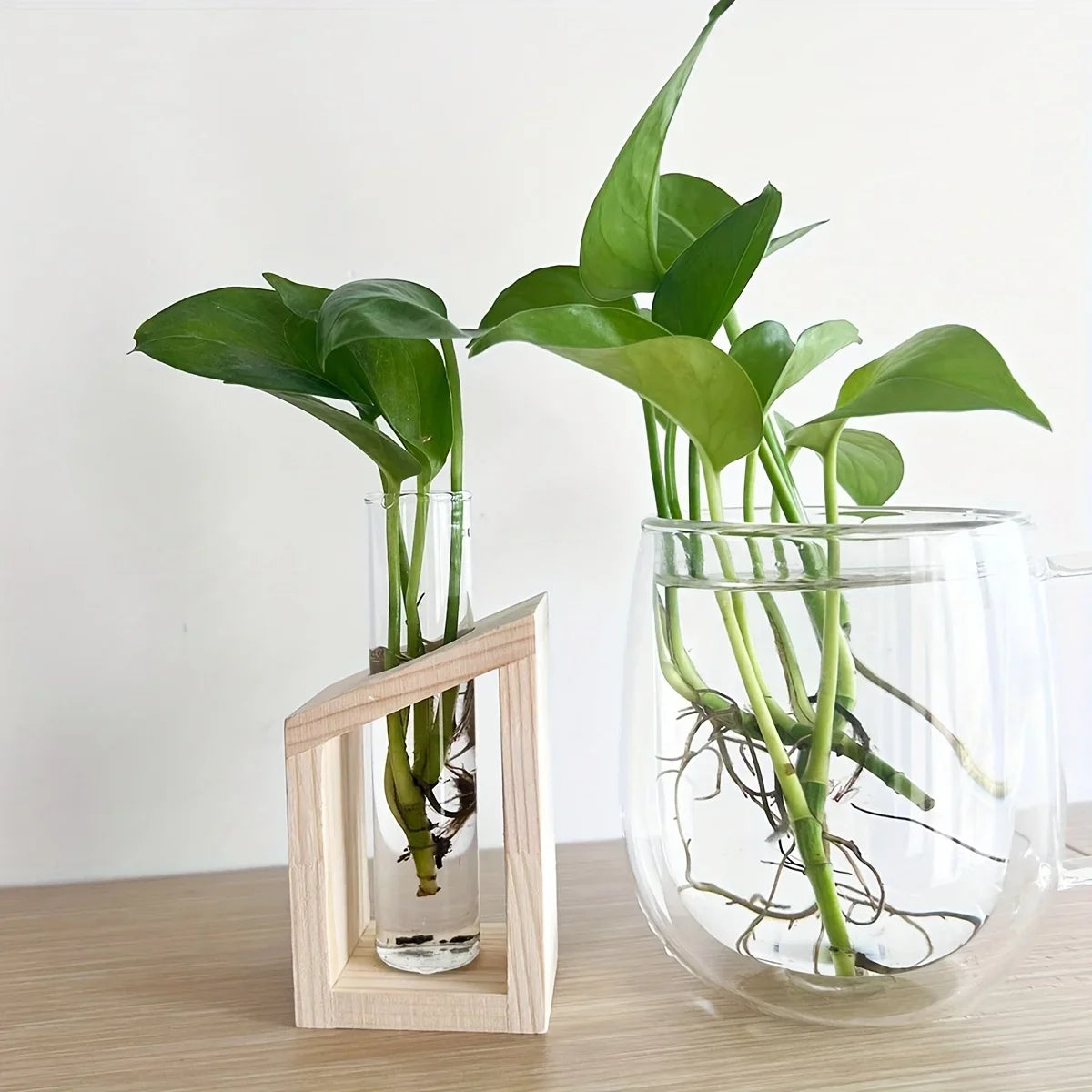 Test Tube Hydroponic Vase Wooden Stand Desktop | Aurelia