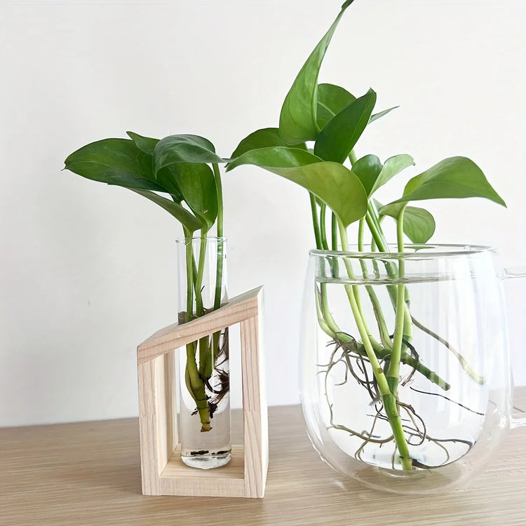 Test Tube Hydroponic Vase Wooden Stand Desktop | Aurelia