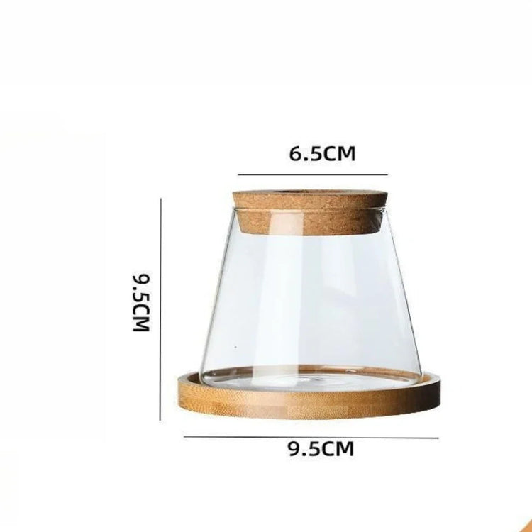Glass Hydroponic Vase Propagation Station Décor | Aurelia
