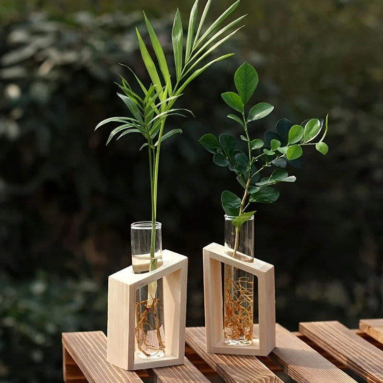 Test Tube Hydroponic Vase Wooden Stand Desktop | Aurelia