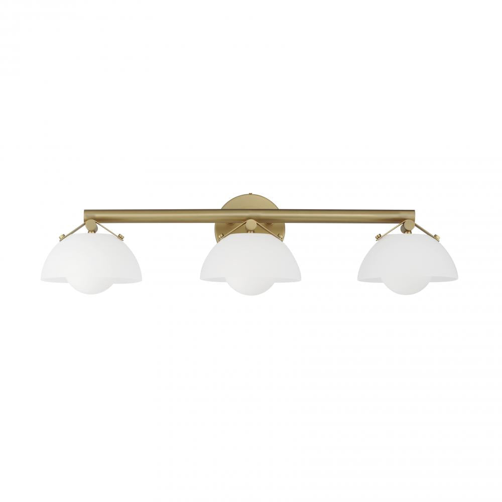 Studio M Lighting SM31003FTNAB Domain 3-Light Bath Vanity - Frost/Brass