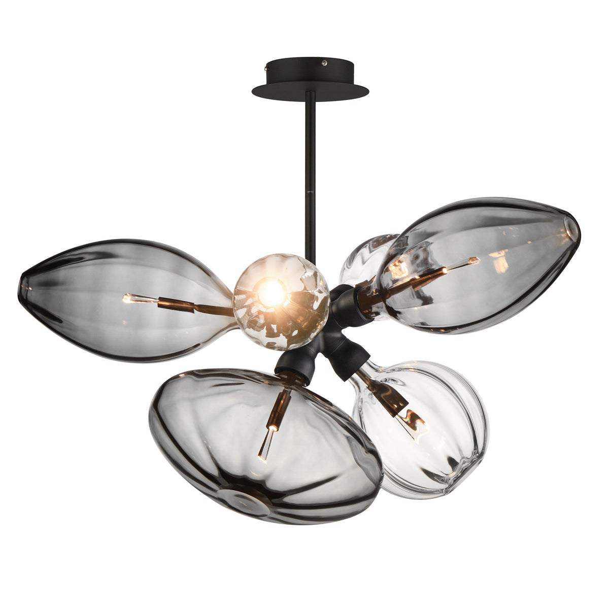 Studio M Lighting SM49301MSCLBK Ray Dance Cluster Ray Dance Single Cluster 6-Light LED Pendant