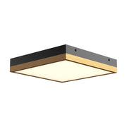 ALORA MOOD Lighting FM553211AGMB Flush Mount, UL Damp Rated, Aged Gold/Matte Black
