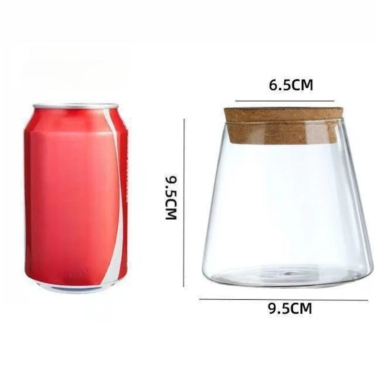 Glass Hydroponic Vase Propagation Station Décor | Aurelia