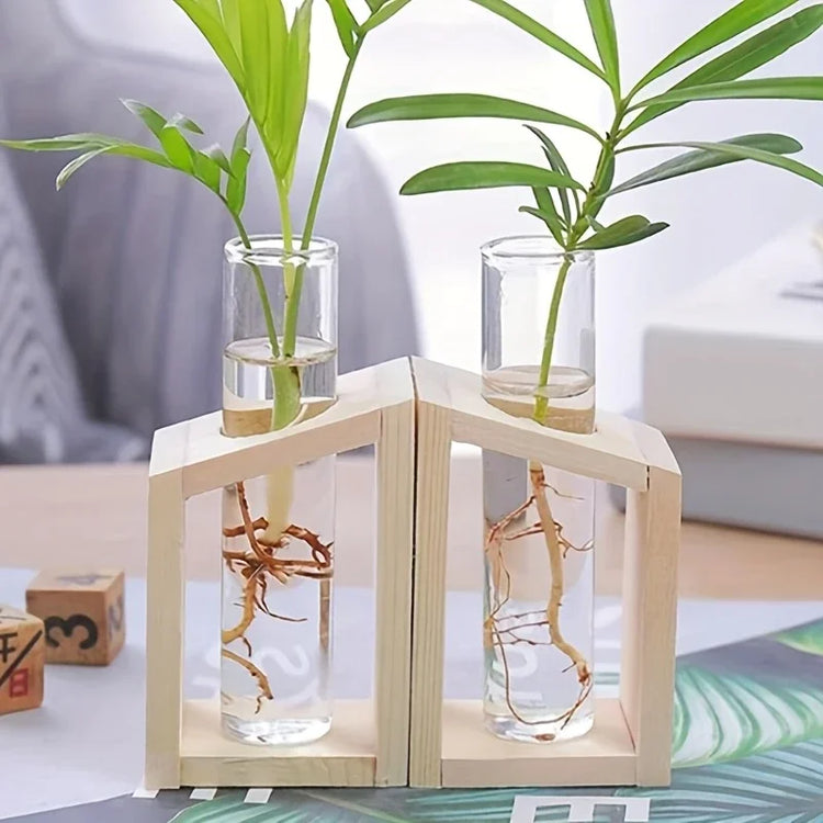 Test Tube Hydroponic Vase Wooden Stand Desktop | Aurelia