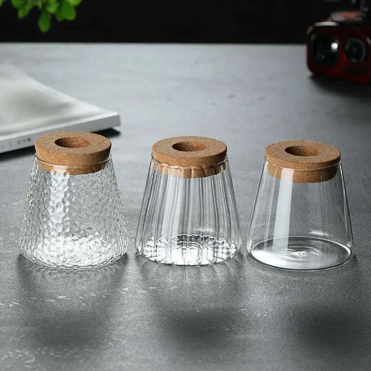 Glass Hydroponic Vase Propagation Station Décor | Aurelia