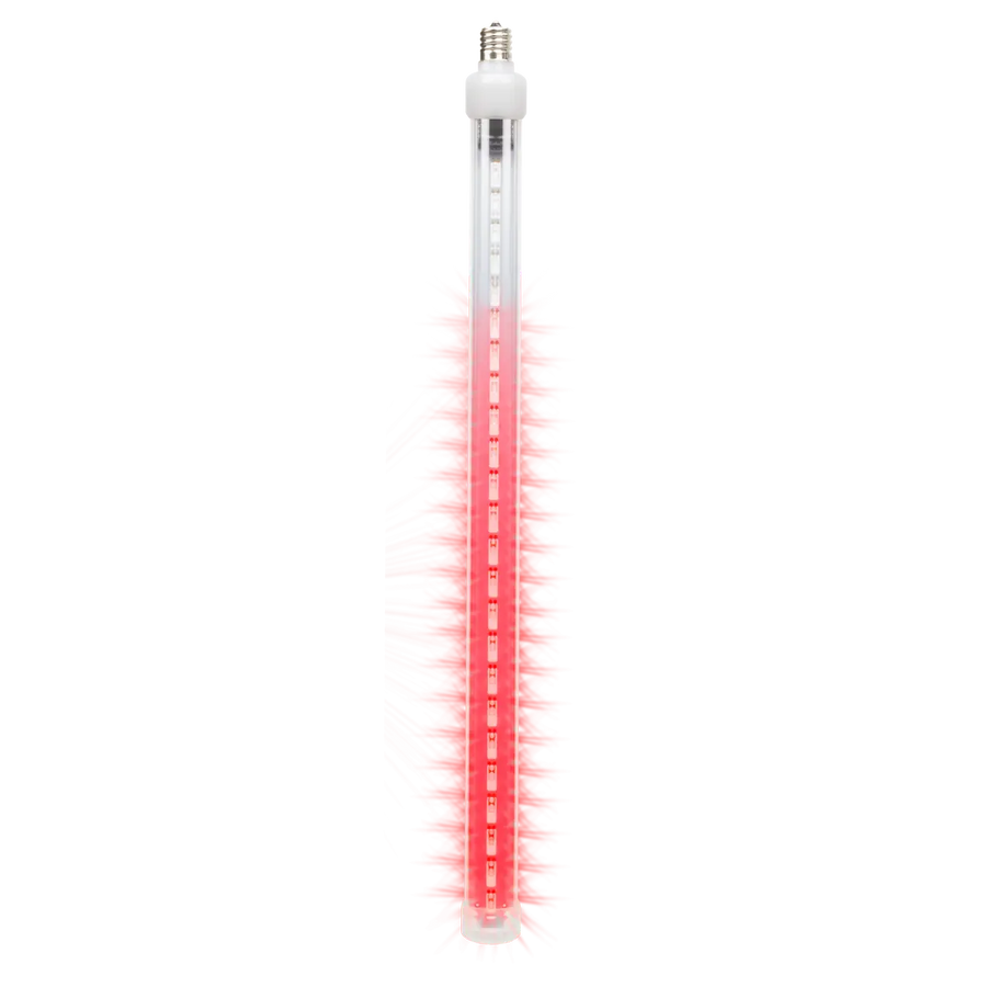 Starfall Tube Red 24in